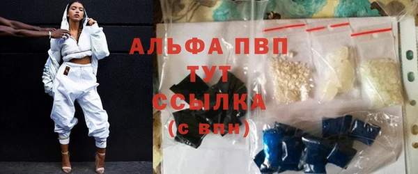 сатива Кодинск