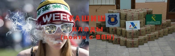 сатива Кодинск