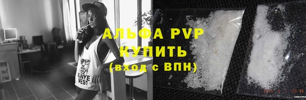 сатива Кодинск