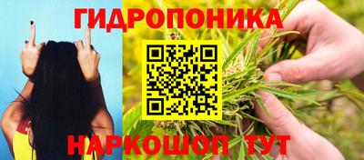 гашик Ипатово