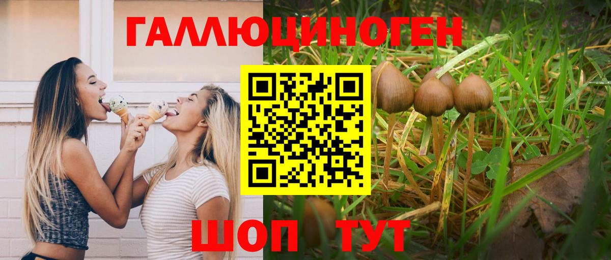Тула  Псилоцибиновые грибы ЛСД  Вход с VPN 